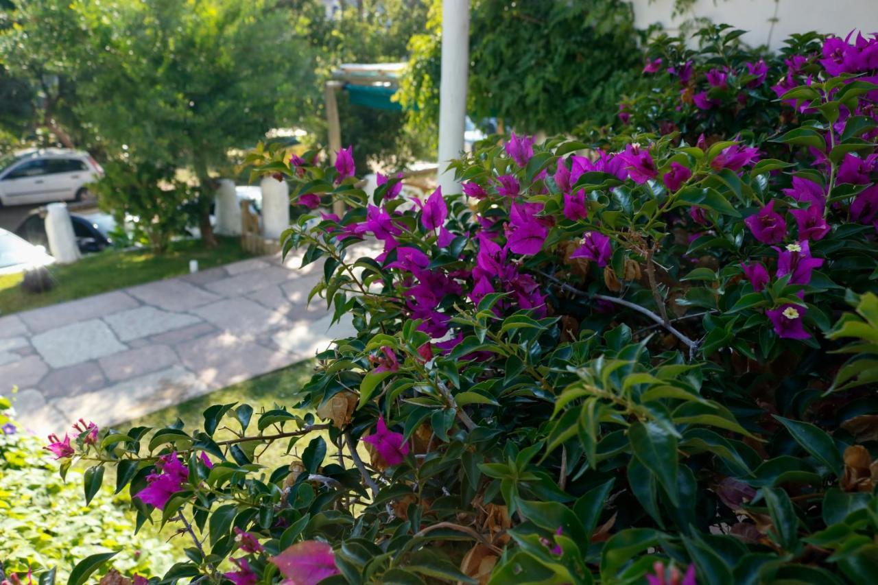 Africa Posada Hotel Пинамар Екстериор снимка